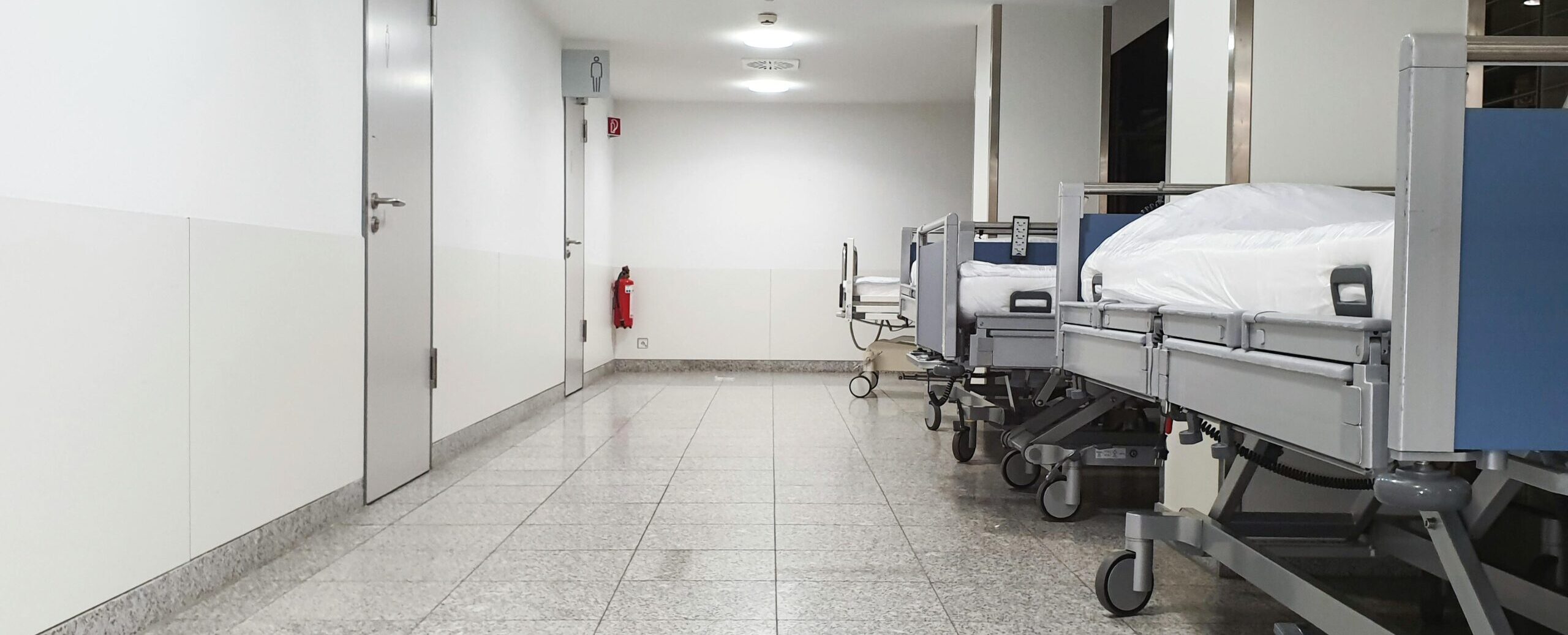 Chapter 5 – What Do You Want Us to Do, Miss Tate?